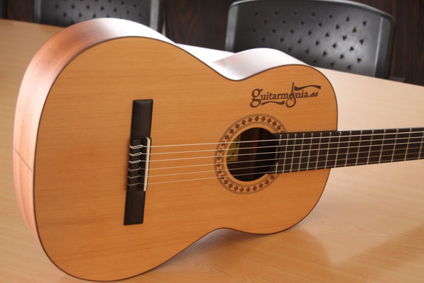 Guitarra personalizada para Guitarmonia